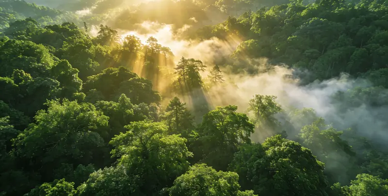 株洲肺癌靶向120基因检测（组织）图片1